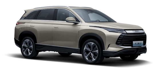 فرگات هایبریدی BYD 175KM چهار چرخ محرک SUV شهری متوسط 07