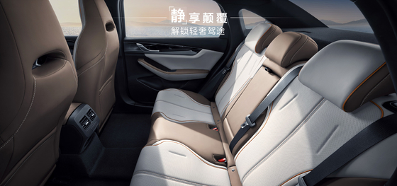 BYD Qin Plus DMI 102 کیلومتر Leading Glory Edition