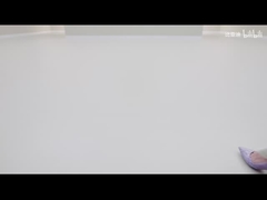 2025 420 کیلومتر Dolphin Active Edition EV